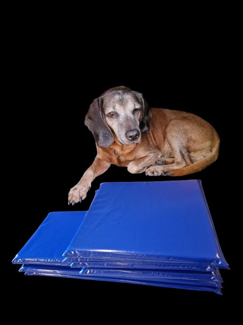 Hovedbilde Hundematte 77x57x5